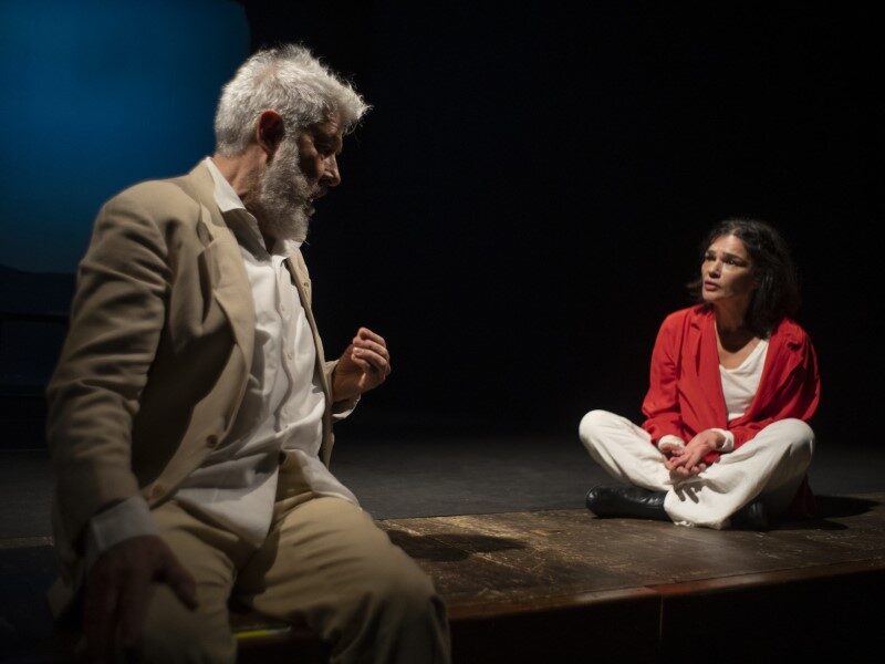 I_separabili_Alessandro_Benvenuti_Chiara_Caselli_Essevuteatro_800x600