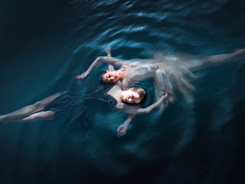 il lago dei cigni ovvero il canto del balletto di Roma