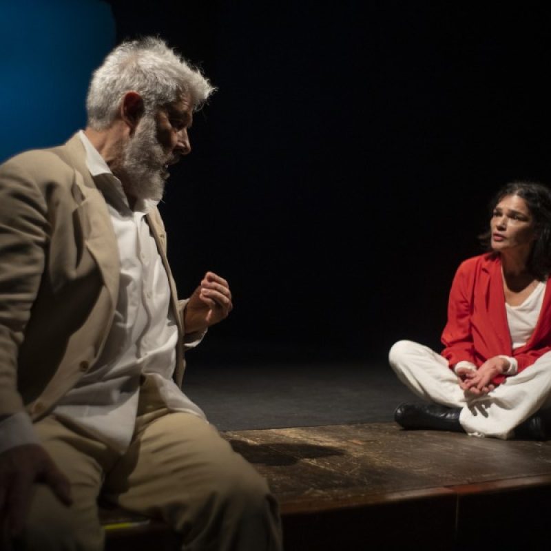I_separabili_Alessandro_Benvenuti_Chiara_Caselli_Essevuteatro_800x600
